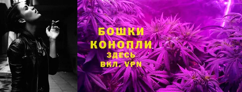 как найти   Шагонар  shop телеграм  Канабис White Widow 